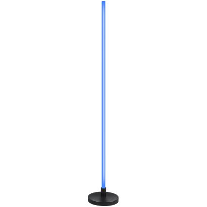 Grundig - LED RGB ρυθμιζόμενο επιδαπέδιο φωτιστικό LED/5W/5V + τηλεχειριστήριο