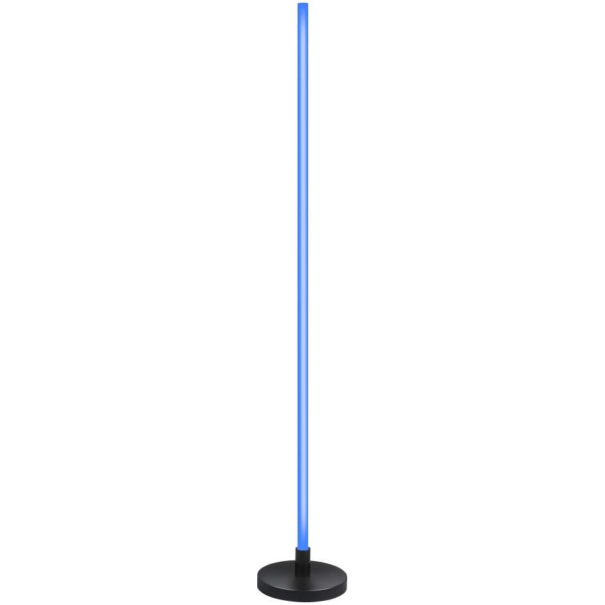 Grundig - LED RGB ρυθμιζόμενο επιδαπέδιο φωτιστικό LED/5W/5V + τηλεχειριστήριο
