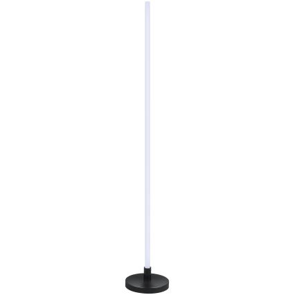 Grundig - LED RGB ρυθμιζόμενο επιδαπέδιο φωτιστικό LED/5W/5V + τηλεχειριστήριο