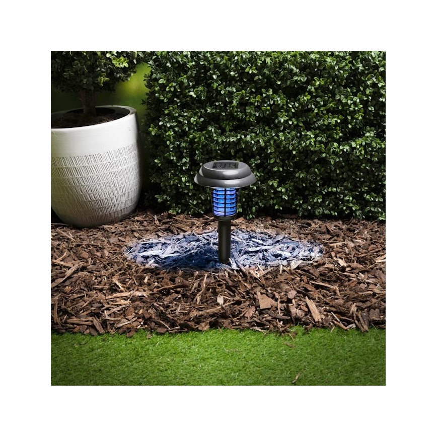 Grundig - Ηλιακό LED φωτιστικό και παγίδα εντόμων (UV LED) 1xAA 600 mAh IPX4