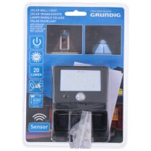 Grundig - Ηλιακό φως LED με αισθητήρα 1xLED/0,25W/1xAA