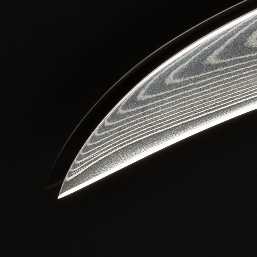 Gudaro - Μαχαίρι φρούτων από δαμασκηνό χάλυβα FENG 3,5, 67 στρώσεις χάλυβα, μήκος 9,5cm