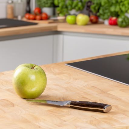 Gudaro - Μαχαίρι φρούτων από δαμασκηνό χάλυβα FENG 3,5, 67 στρώσεις χάλυβα, μήκος 9,5cm