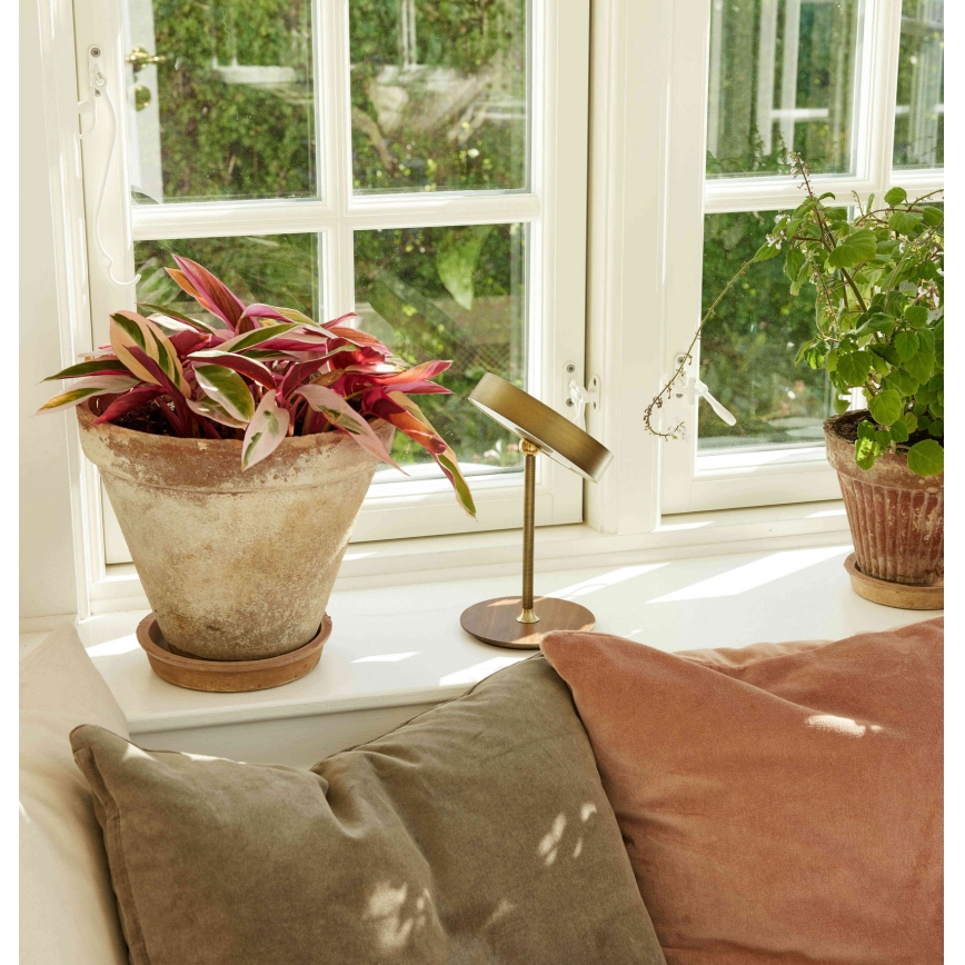 Halo Design 745784 - Ρυθμιζόμενη επαναφορτιζόμενη επιτραπέζια LED λάμπα ON THE MOVE LED/2,5W/4000 mAh ορείχαλκος/ξύλο