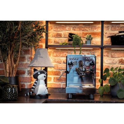 Happy Lamps - Παιδική επιτραπέζια λάμπα LED BEN LED/5,4W/230V ρακούν