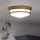 Hinkley - Φωτιστικό οροφής μπάνιου HADLEY 3xE27/40W/230V IP44 χρυσό