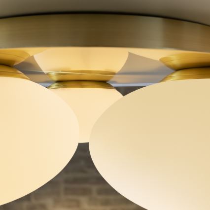 Ideal Lux - Φωτιστικό οροφής LED NINFEA 3xGX53/9W/230V χρυσό