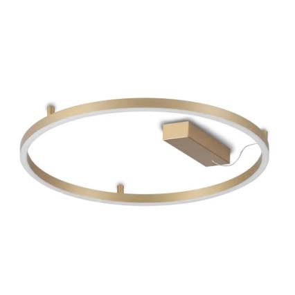 Ideal Lux - Φωτιστικό οροφής LED ORACLE SLIM LED/29W/230V 3000K CRI 90 διάμ. 50 εκ. χρυσό