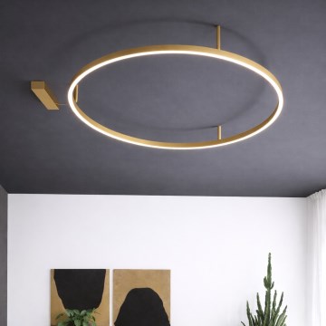 Ideal Lux - Φωτιστικό οροφής LED ORACLE SLIM LED/81W/230V 3000K CRI 90 Ø 150 cm χρυσό