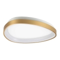 Ideal Lux - Φωτιστικό οροφής LED GEMINI LED/23W/230V διάμετρος 42,5 cm CRI 90 χρυσό