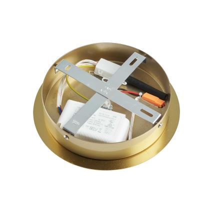 Ideal Lux - Κρεμαστό φωτιστικό οροφής LED EQUINOXE 12xG4/2W/230V χρυσό