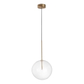 Ideal Lux -  Κρεμαστό φωτιστικό οροφής LED EQUINOXE 1xG4/2W/230V διάμετρος 25 cm ορείχαλκος/διαφανές