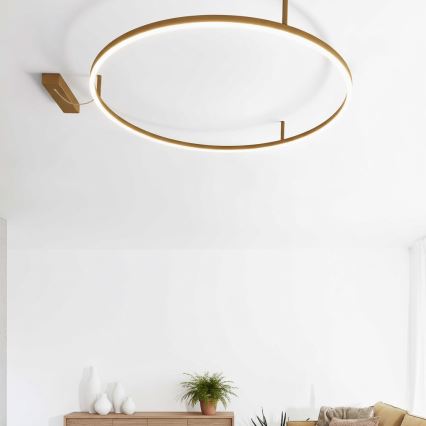 Ideal Lux - Φωτιστικό οροφής LED ORACLE SLIM LED/53W/230V 3000K CRI 90, διάμ. 90 cm, χρυσό