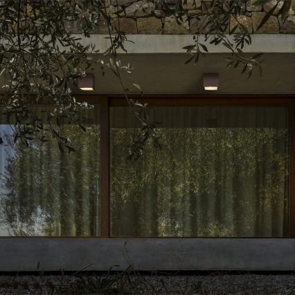 Ideal Lux - Εξωτερικό φωτιστικό σποτ TECHO 1xGU10/20W/230V 9x9 cm IP54 καφέ