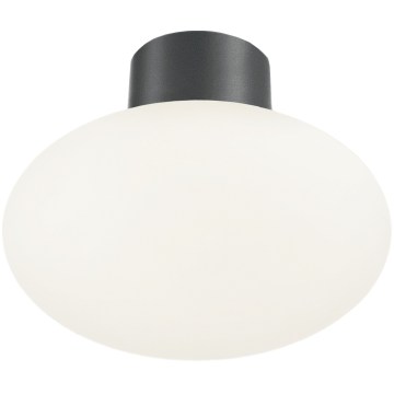 Ideal Lux - Εξωτερικό φωτιστικό οροφής CLIO 1xE27/42W/230V IP44 ανθρακί