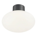 Ideal Lux - Εξωτερικό οροφής φωτιστικό CLIO 1xE27/42W/230V IP44 ανθρακί