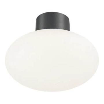 Ideal Lux - Φωτιστικό οροφής εξωτερικού χώρου CLIO 1xE27/42W/230V IP44 ανθρακί