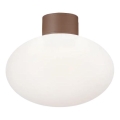 Ideal Lux - Φωτιστικό οροφής εξωτερικού χώρου CLIO 1xE27/42W/230V IP44 καφέ