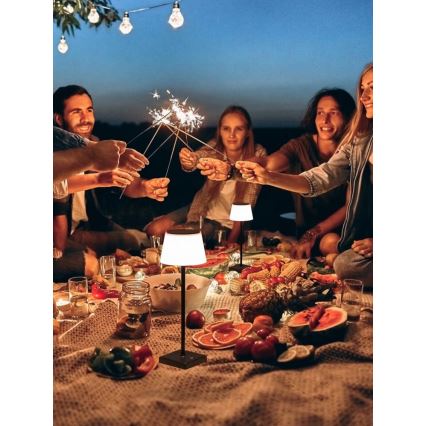 LED Dimming Εξωτερικού χώρου ηλιακό φωτιστικό με αισθητήρα LED/4W/5V IP44 3600 mAh