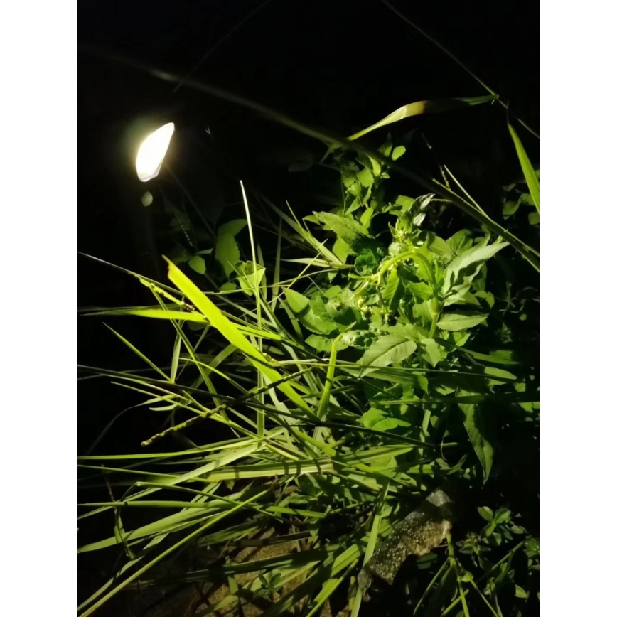 Ηλιακή λάμπα LED με αισθητήρα LED/1W/3,7V 6000K IP65 1500 mAh