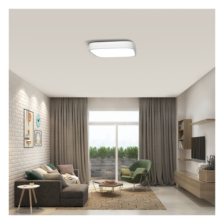 Immax NEO 07042L - LED Φωτιστικό οροφής dimmer RECUADRO LED/67W/230V + RC Tuya