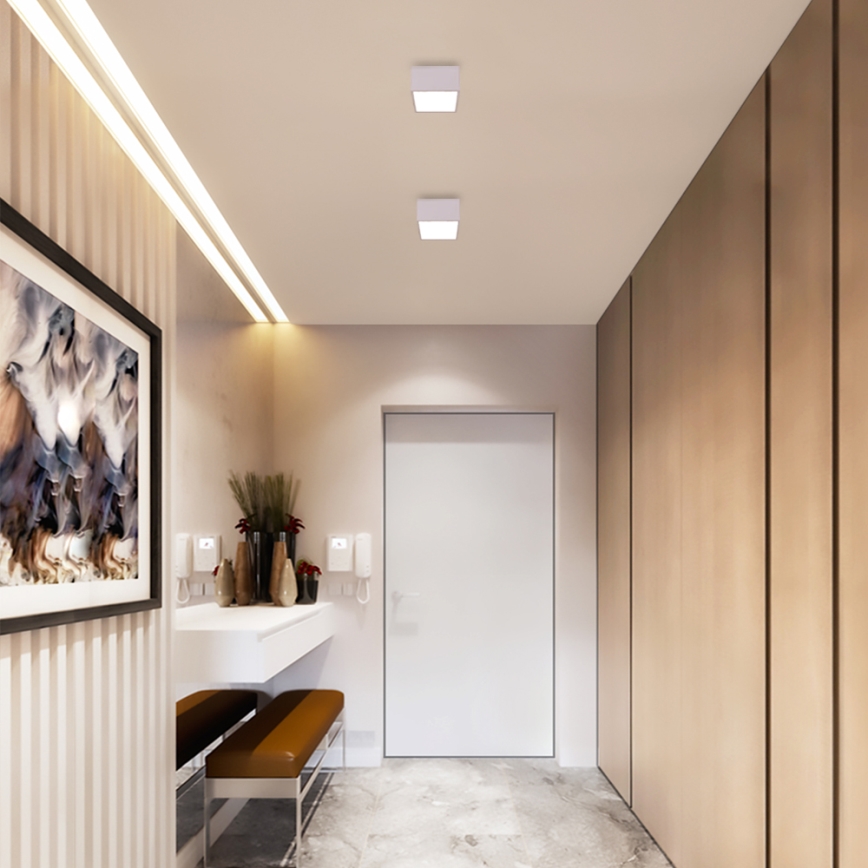 Immax NEO 07072L-15  - Φωτιστικό LED Dimmable CANTO LED/12W/230V  λευκό  Tuya