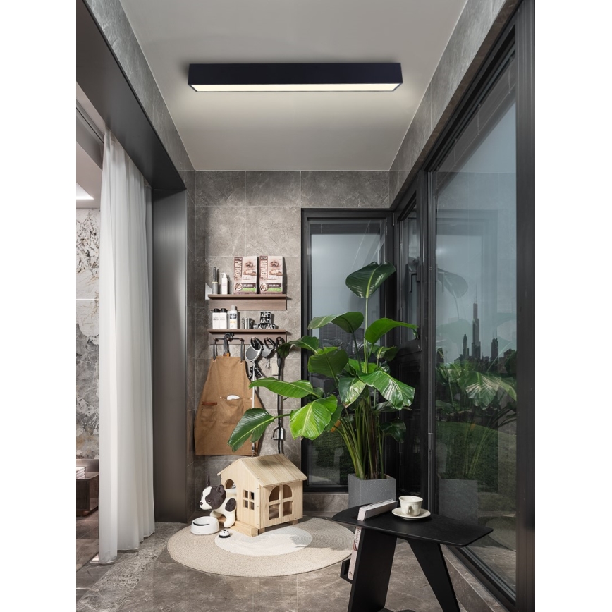 Immax NEO 07074-90 - LED Dimmable φωτιστικό οροφής CANTO LED/50W/230V μαύρο Tuya + τηλεχειριστήριο