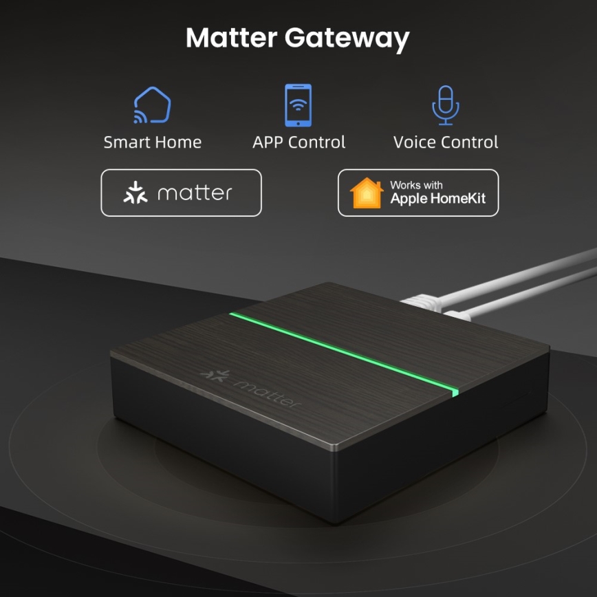 Immax NEO 07117-5 - Έξυπνη γέφυρα MATTER Zigbee 3.0 230V Tuya Wi-Fi