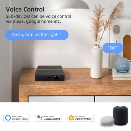 Immax NEO 07117-5 - Έξυπνη γέφυρα MATTER Zigbee 3.0 230V Tuya Wi-Fi