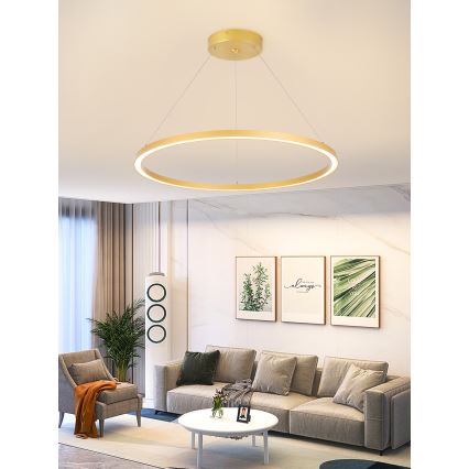 Immax NEO 07159-G80 - LED Dimmable κρεμαστό φωτιστικό οροφής FINO LED/60W/230V Tuya  χρυσό + τηλεχειριστήριο