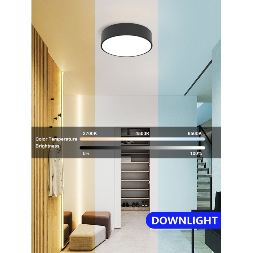 Immax NEO 07200L - LED Dimmable φωτιστικό οροφής RONDATE LED/18W/230V 3000-6000K διάμετρος 25 cm μαύρο Tuya + τηλεχειριστήριο