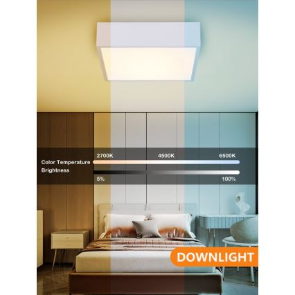 Immax NEO 07238L - Ρυθμιζόμενο LED οροφής φωτιστικό CANTO LED/22W/230V λευκό Tuya + τηλεχειριστήριο