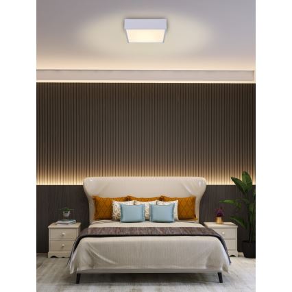 Immax NEO 07238L - LED Dimmable φωτιστικό οροφής CANTO LED/22W/230V λευκό Tuya + τηλεχειριστήριο