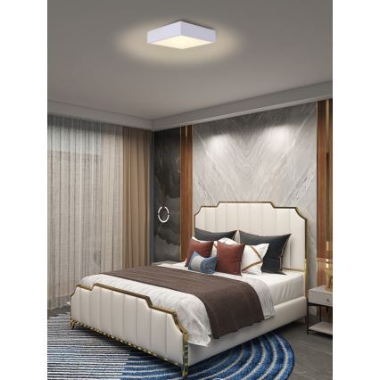 Immax NEO 07238L - LED Dimmable φωτιστικό οροφής CANTO LED/22W/230V λευκό Tuya + τηλεχειριστήριο