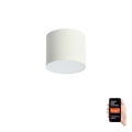 Immax NEO 07241L - Ρυθμιζόμενο φωτιστικό οροφής LED RONDATE LED/18W/230V 11,5cm Wi‑Fi συμβατό με Tuya