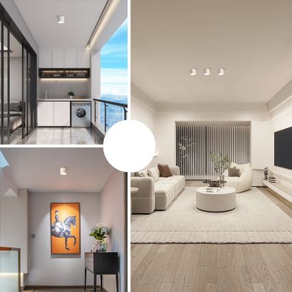 Immax NEO 07243L - Ρυθμιζόμενο LED οροφής φωτιστικό RONDATE LED/32W/230V 16,5 εκ. Wi-Fi Tuya