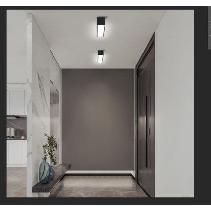 Immax NEO 07254L - LED Dimmable φωτιστικό οροφής NEO LITE LUNGO LED/20W/230V 3000-6000K Wi-Fi Tuya μαύρο + τηλεχειριστήριο