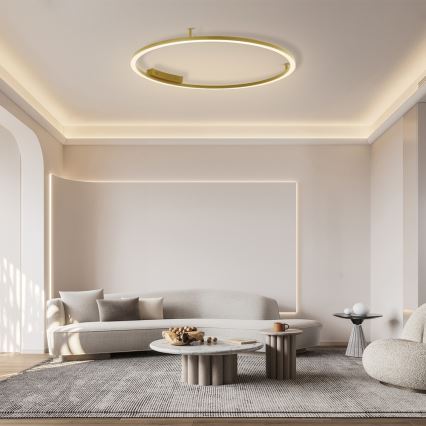 Immax NEO 07290-120G - LED+CCT Ρυθμιζόμενο φωτιστικό οροφής FINO LED/55W/230V 2700-6500K Tuya διάμ. 120 cm + τηλεχειριστήριο
