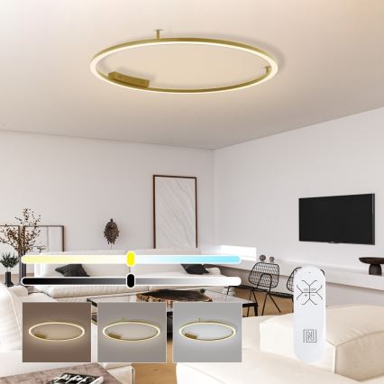 Immax NEO 07290-120G - LED+CCT Ρυθμιζόμενο φωτιστικό οροφής FINO LED/55W/230V 2700-6500K Tuya διάμ. 120 cm + τηλεχειριστήριο