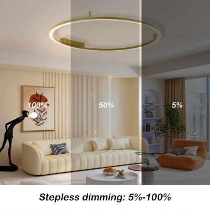 Immax NEO 07290-120G - LED+CCT Ρυθμιζόμενο φωτιστικό οροφής FINO LED/55W/230V 2700-6500K Tuya διάμ. 120 cm + τηλεχειριστήριο