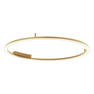 Immax NEO 07290-120G - LED+CCT Ρυθμιζόμενο φωτιστικό οροφής FINO LED/55W/230V 2700-6500K Tuya διάμ. 120 cm + τηλεχειριστήριο