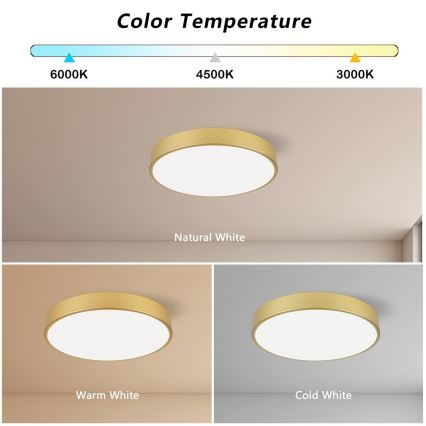 Immax NEO 07292L - LED+CCT Ρυθμιζόμενο φωτιστικό οροφής SEMPLICI LED/36W/230V 2700-6500K Ø 40 cm + με τηλεχειριστήριο