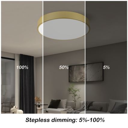 Immax NEO 07292L - LED+CCT Ρυθμιζόμενο φωτιστικό οροφής SEMPLICI LED/36W/230V 2700-6500K Ø 40 cm + με τηλεχειριστήριο
