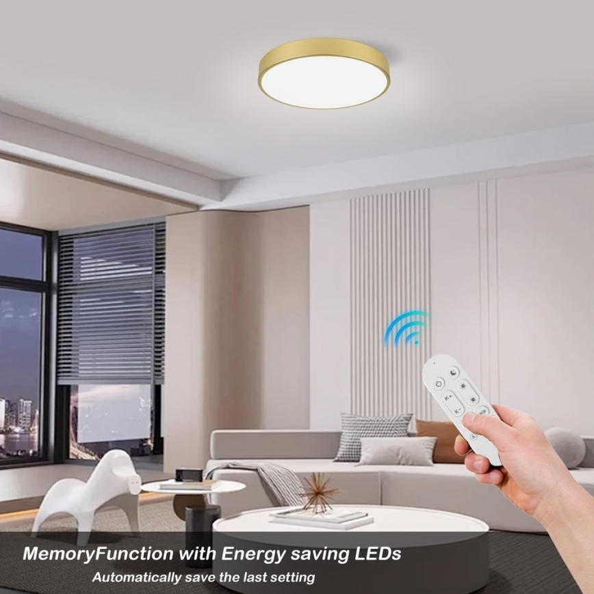 Immax NEO 07292L - LED+CCT Ρυθμιζόμενο φωτιστικό οροφής SEMPLICI LED/36W/230V 2700-6500K Ø 40 cm + με τηλεχειριστήριο