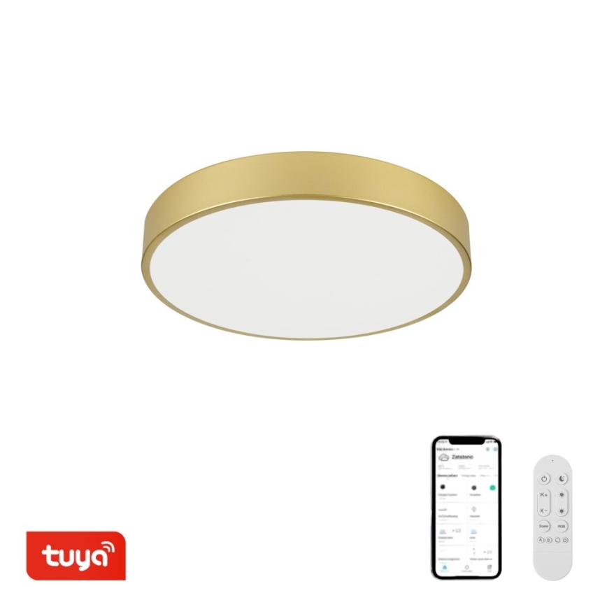 Immax NEO 07292L - LED+CCT Ρυθμιζόμενο φωτιστικό οροφής SEMPLICI LED/36W/230V 2700-6500K Ø 40 cm + με τηλεχειριστήριο