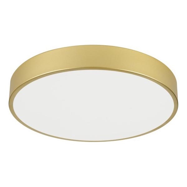 Immax NEO 07292L - LED+CCT Ρυθμιζόμενο φωτιστικό οροφής SEMPLICI LED/36W/230V 2700-6500K Ø 40 cm + με τηλεχειριστήριο