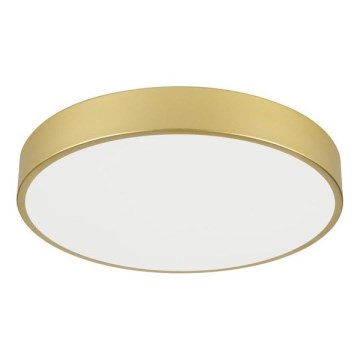 Immax NEO 07292L - Ρυθμιζόμενο LED φωτιστικό οροφής NEO LITE SEMPLICI LED/36W/230V 3000-6000K Ø 40 cm Wi‑Fi Tuya σε χρυσό + τηλεχειριστήριο