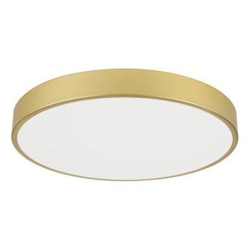 Immax NEO 07293L - Ρυθμιζόμενο φωτιστικό οροφής LED NEO LITE SEMPLICI LED/60W/230V 3000-6000K Ø 60 cm Wi-Fi Tuya χρυσό + τηλεχειριστήριο