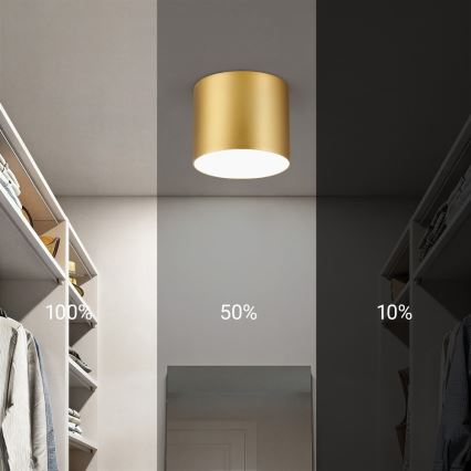 Immax NEO 07317L - Ρυθμιζόμενο LED φωτιστικό οροφής RONDATE LED/18W/230V, διάμ. 11,5cm, Wi‑Fi Tuya, χρυσό