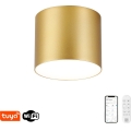 Immax NEO 07317L - Ρυθμιζόμενο LED φωτιστικό οροφής RONDATE LED/18W/230V, διάμ. 11,5cm, Wi‑Fi Tuya, χρυσό